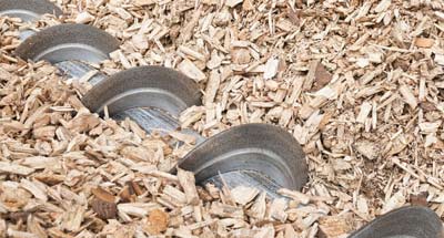 Commercial biomass woodchip